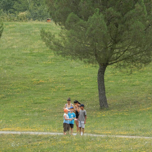 [Ateliers des petits curieux] Cache-cache forestier